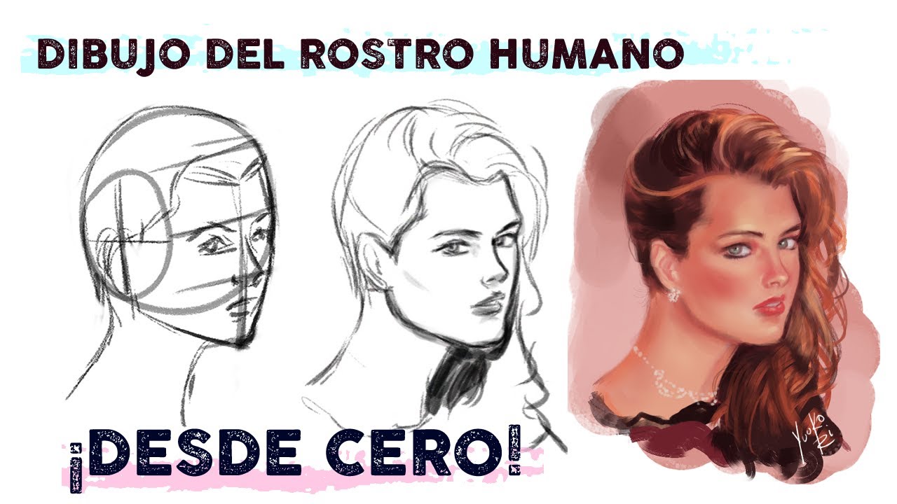 Aprende A Dibujar El Rostro Desde Cero Teoría Y Practica Guía Para