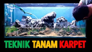 TEKNIK PLANTING FOREGROUND - Mountain Style Aquascape Tutorial 120x60x50cm