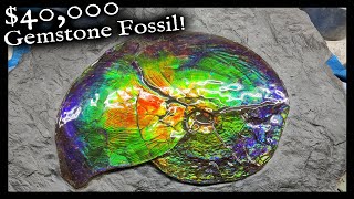 $40,000 Gem Stone Fossil Found.