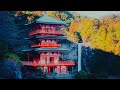 visiting the most beautiful shrine in japan | japan roadtrip ep.4