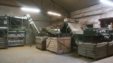 Schouten Potato Sorting Line at CUMA in France