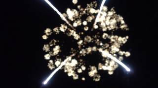 Château De La Motte Flée