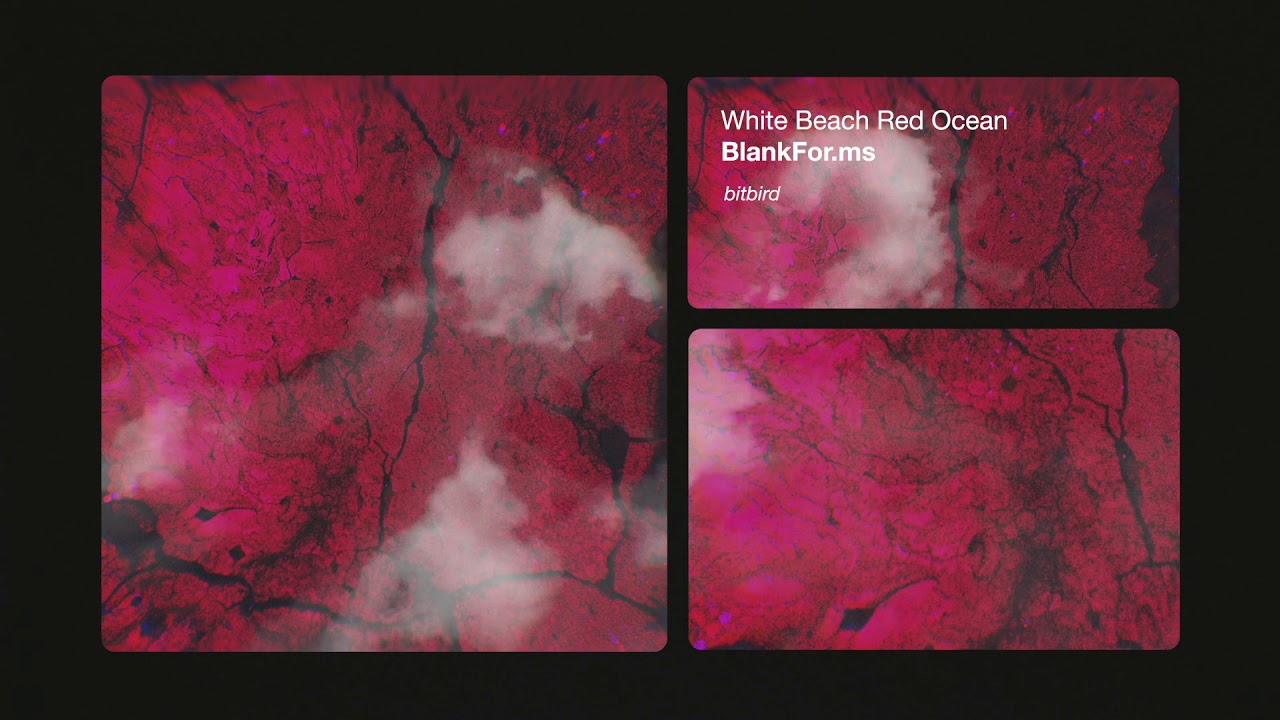 blankfor ms white beach red ocean red ocean