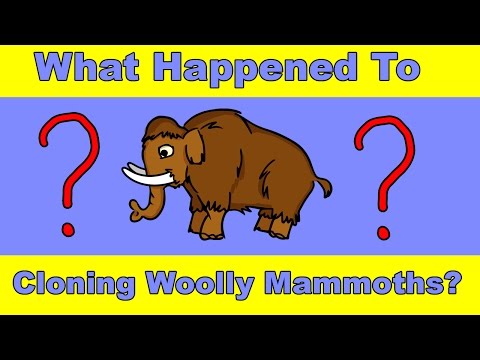 Video: Scientists Have Announced The Possible Time Frame For Recreating Mammoths - Alternative View