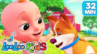 bingo and johny the best songs for kids loolookids