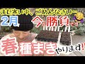 【春の種まき】先手必勝で寒いうちに始めちゃおう