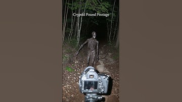 Cryptid Sighting: Unexplained Creature Caught on Trail Cam