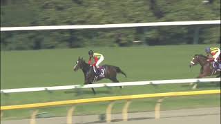 【期限切れ単勝馬券】第2回ヴィクトリアマイル　コイウタ　2007/5/13 mqdefault.jpg