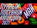 ЛУННЫЙ  КАЛЕНДАРЬ ОГОРОДНИКА МАЙ 2021!!!БЛАГОПРИЯТНЫЕ ДНИ ДЛЯ ПОСЕВА!!!