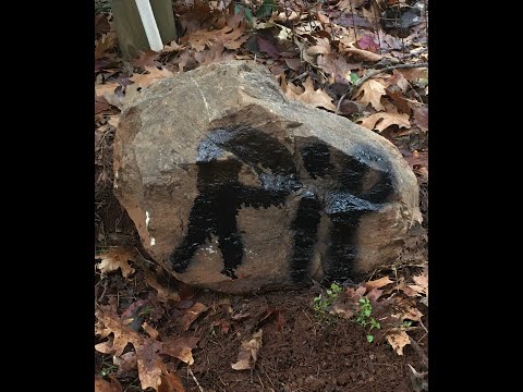fish disaster video part 1