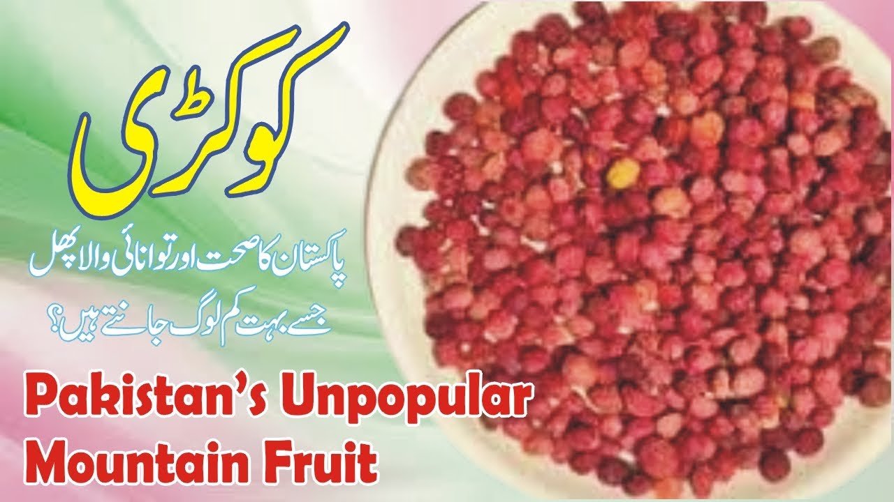 Kokri Is A Treasure Trove Of Amazing Benefits And Energy 