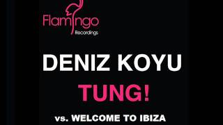 Deniz Koyu - Tung! vs. Welcome to Ibiza (Richie V Edit)