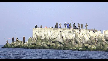 САЛАКА ПОШЛА! ОДИН ЗАБРОС И 5 РЫБ. РЫБА СТЕНОЙ! ЭТО КАКОЙ ТО...