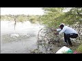 Awesome Fish Hunting 🎣🐟 BIG ROHU Fishing Fisher man single hook Best Fishing Video Krishna Village