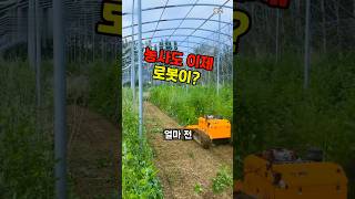 [576] 잔디 벌초 하는 예초기 로봇 ?