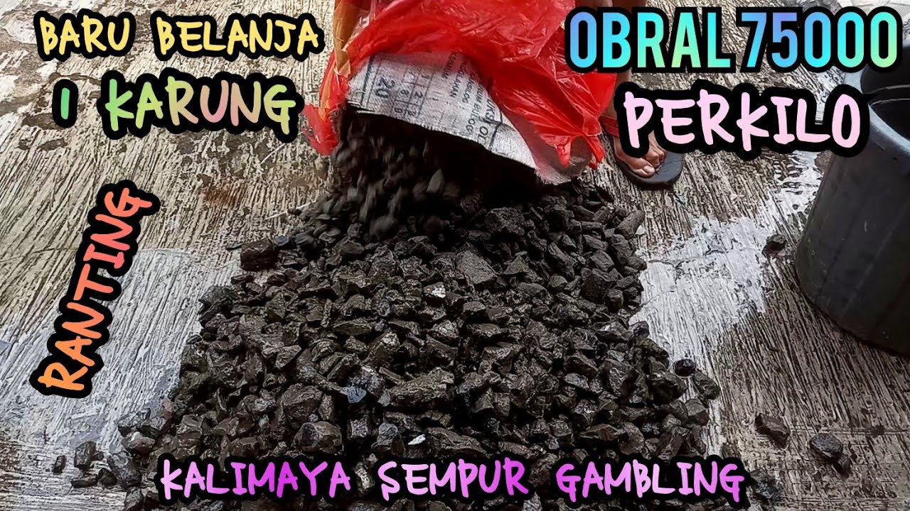 BARU BELANJA 1 KARUNG KALIMAYA SEMPUR GAMBLING WA 085781995551