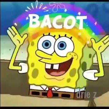 Sepongebob say bacot