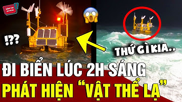 Thấy VẬT THỂ LẠ rơi xuống biển lúc 2h, người đàn ông HOANG MANG cho đến khi ĐỌC COMMENT | Động Tiin