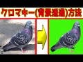 誰でもできる背景透過素材の作り方【実演動画】【Windows Paint】【クロマキー加工用】