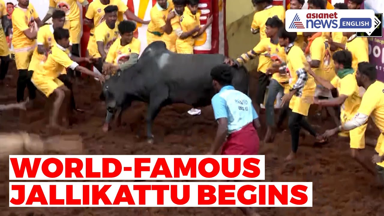 Джалликатту-2025: КМ Сталин посетит мероприятие Аланганаллур в Мадурае