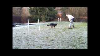 push serp threadle