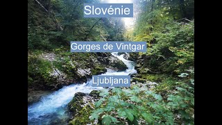 #15 Slovenie Gorges Vintgar et ljubljana