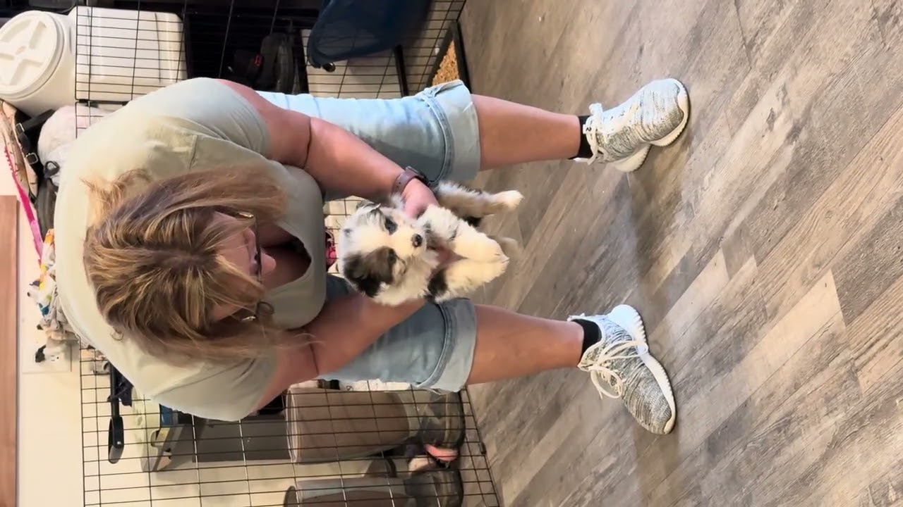 Finn - Phoenix x Atlas