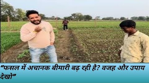 “मौसम बदल रहा है—फसल पर फंगल चढ़ रहा है! तुरंत उपाय करो”(@JoshiagroAgencyofficial @Fasalmanthan )