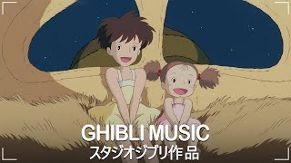Relaxing Ghibli Music 🌹 Ghibli Music Collection 2024 🍒 BGM for work, relax, study by Ghibli Relaxing Soul 439 views 10 days ago 2 hours, 23 minutes