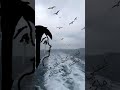 حالات واتس اب حزينة ليتني كنت طير مثلهم ما كنت واجهت الم وتعب الحياه