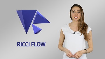 Warped Dynamics - Ricci Flow