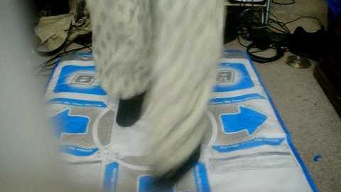 DDR Hottest Party 3 Sacred Oath foot demonstation