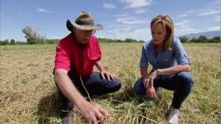 New Mexico Urban Farm - America's Heartland