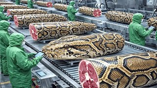 AI Technology Exposed The Real Python Farming Process for Meat and Skin