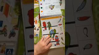 Logigo Chinese Version