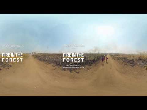 Fire In The Forest Trailer