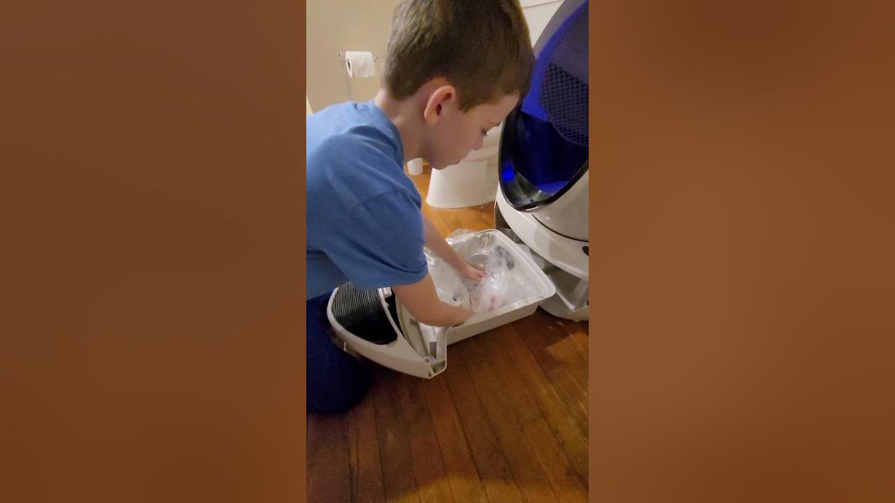 How to change Litter Robot bag YouTube