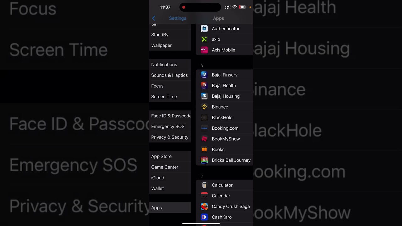 IOS 18 Settings features