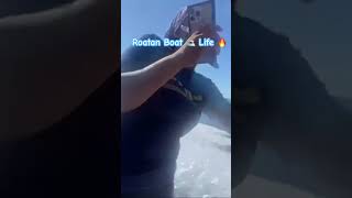 Roatan Boat Life ! #viral #travel #flight #honduras #boat  #roatan
