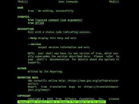 The 'true' Command In Linux