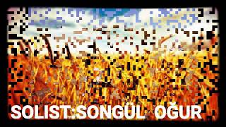 BUĞDAY TANESİ