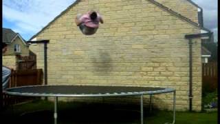 Trampoline Teaser 2010