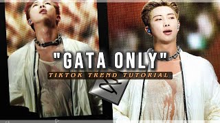 Gata only tiktok trend edit tutorial - capcut