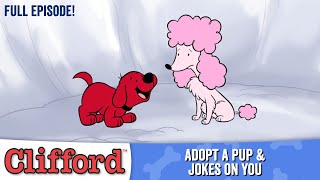 Puppy Days   Adopt A Pup | Jokes on You (HD  Full Episodes)