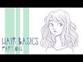 The Basics of Drawing Hair // Part 1