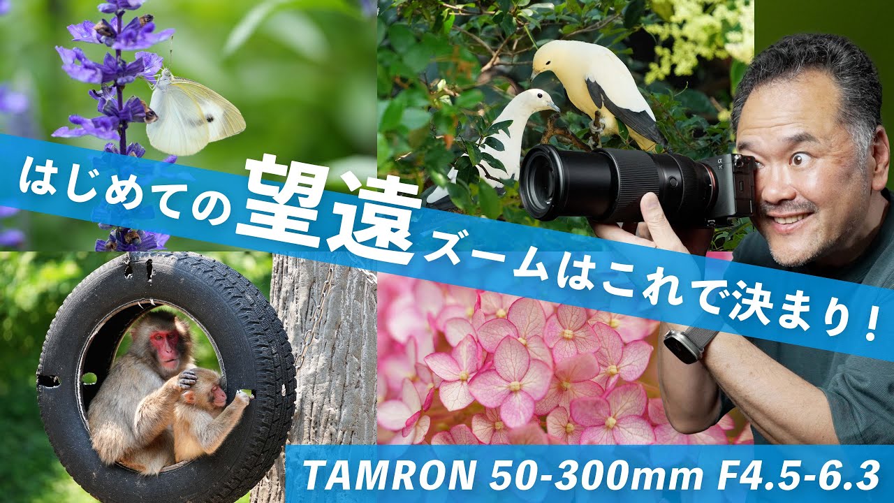 タムロン50-300mm望遠レンズを試した結果！軽さとパフォーマンスが