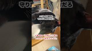 【批判殺到】立憲 野田が自維を批判「比例区だけ削るのは大きな政党のエゴだ」