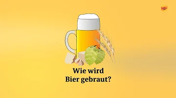 Wie wird aus Hopfen Bier gemacht?