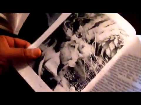 Книга "Велесова Мудрость. Книга первая"