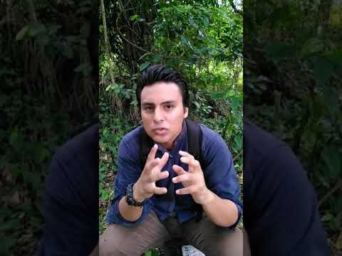 Marco Antonio Regil quiere cerrar ZOOLÓGICOS | NO DEBE PASAR | ANIMLA HEROES involucrado